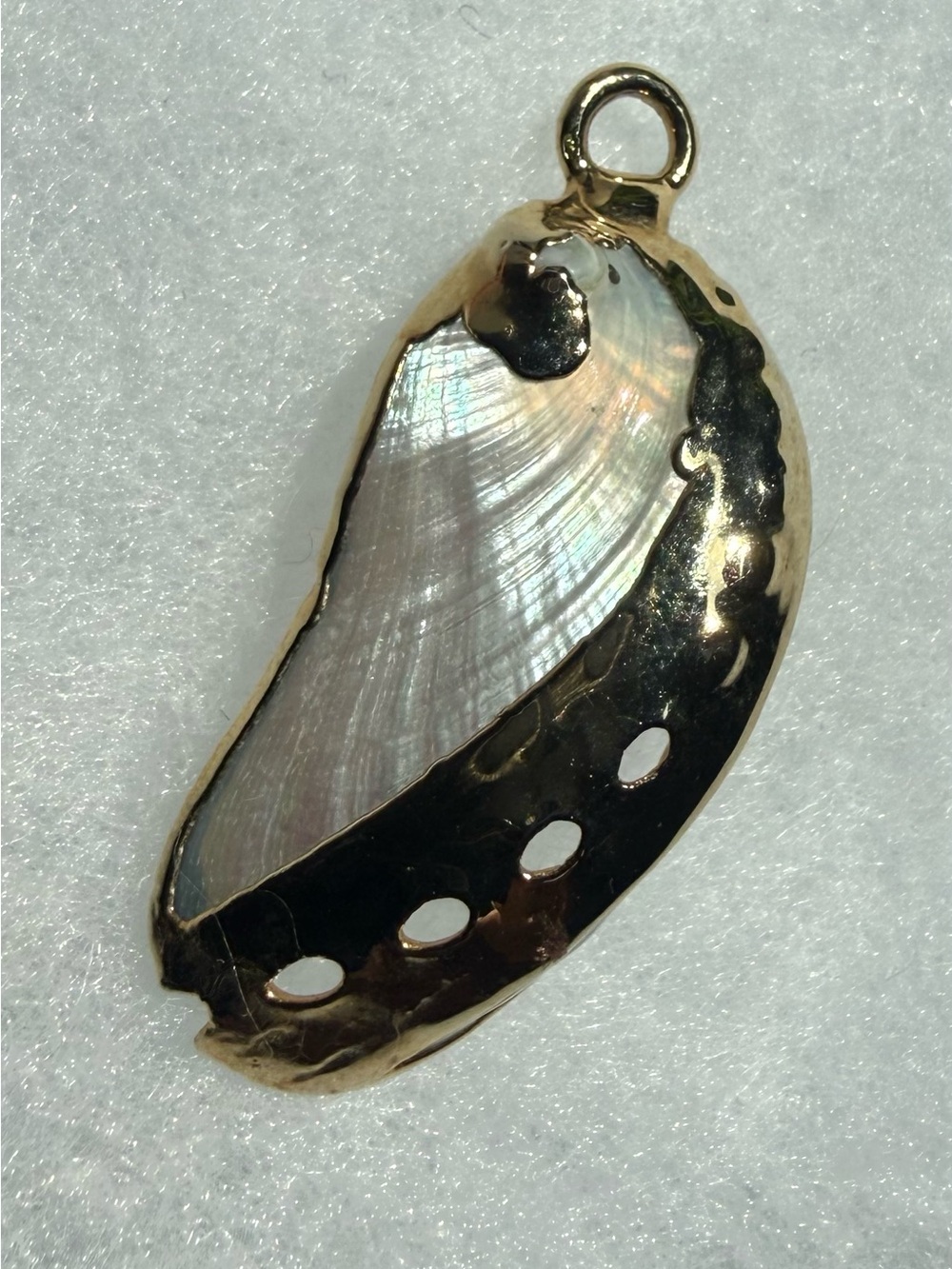 Seashell Pendant